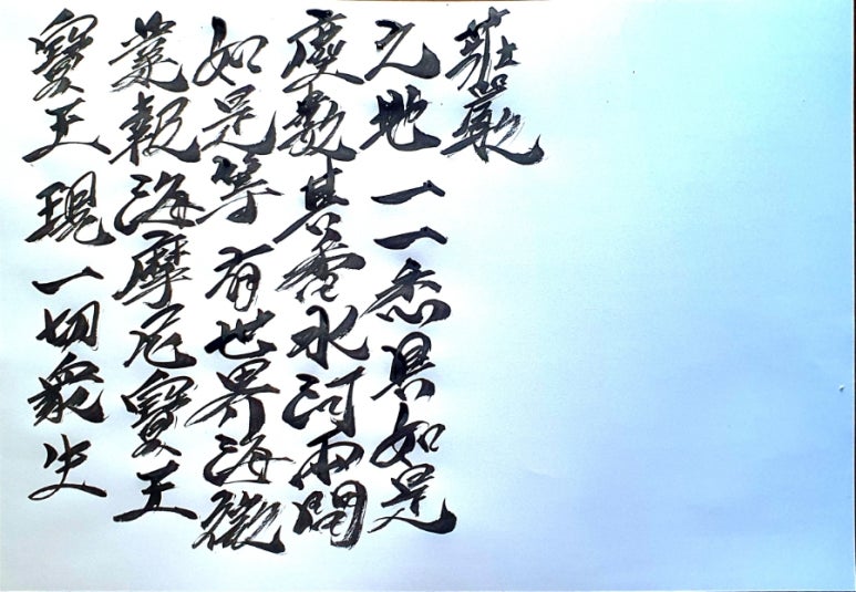 마니보 이미지