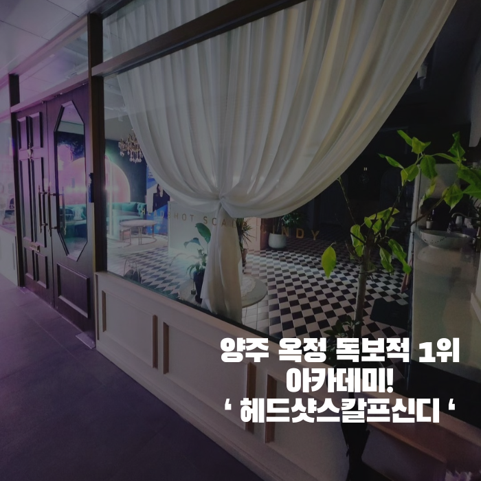 신디샵 이미지