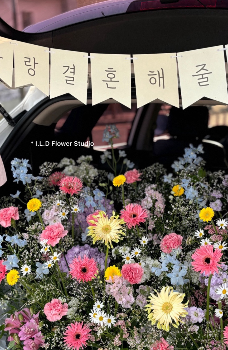 아이엘디 이미지