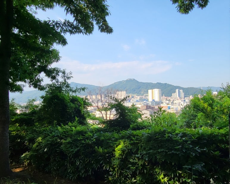 부원주유소 이미지