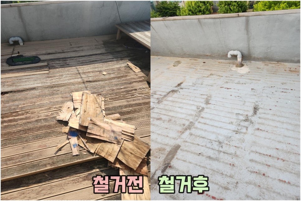 나무박사장 이미지
