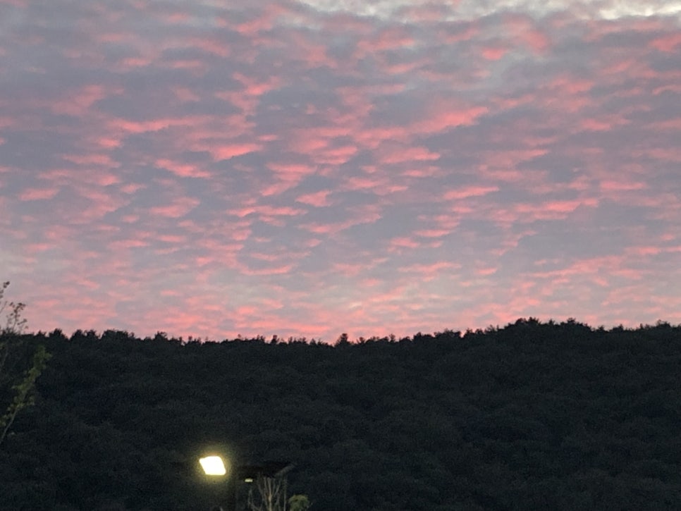 반내과의원 이미지
