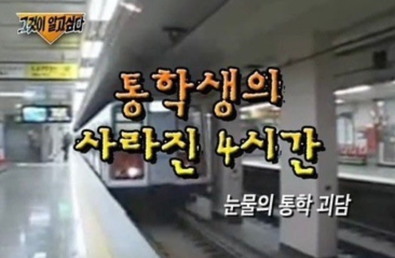 진아네 이미지