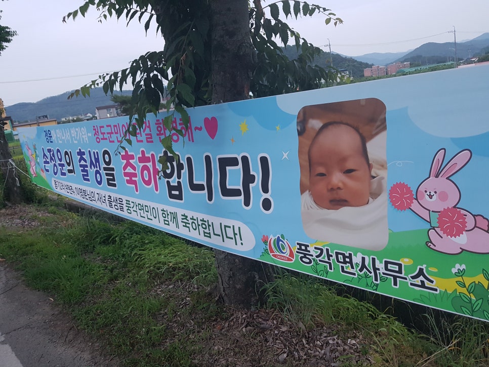 풍각전자 이미지