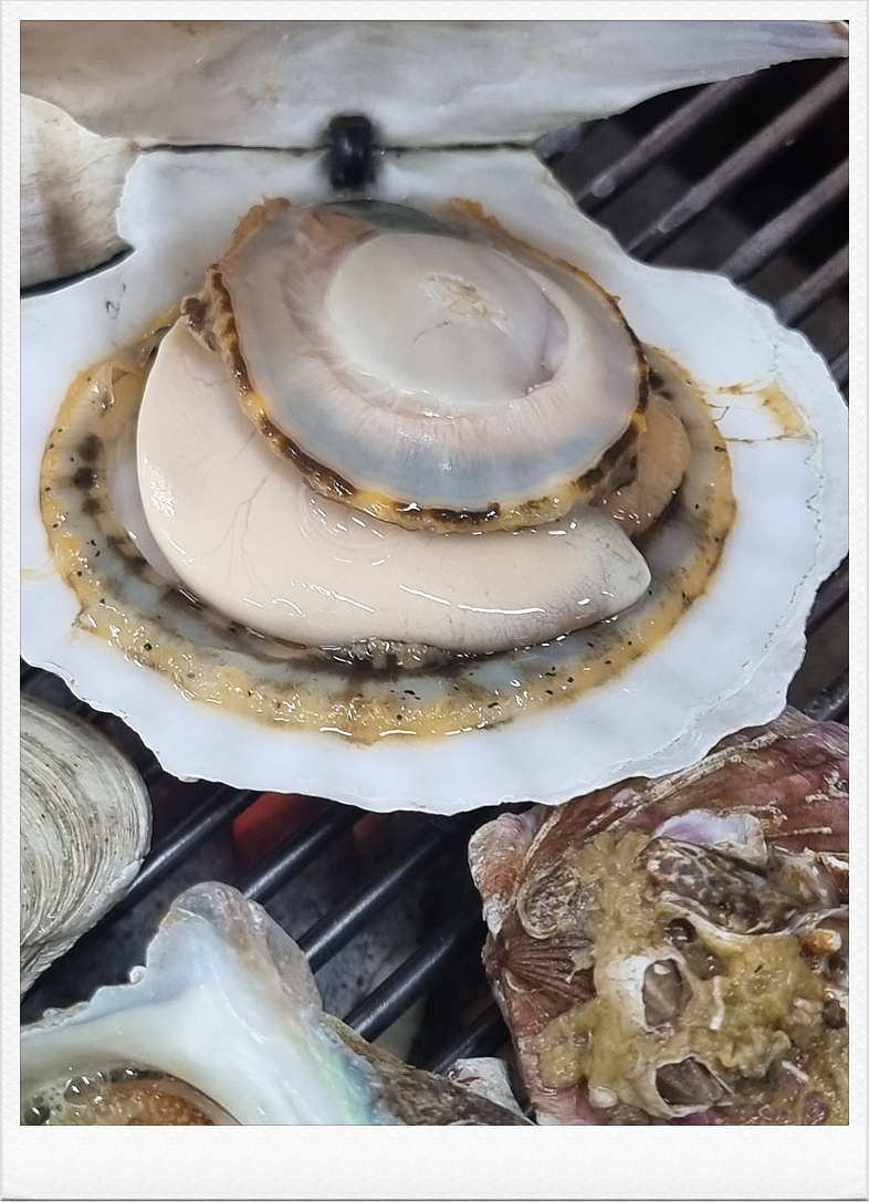 행복한조개맛집 이미지