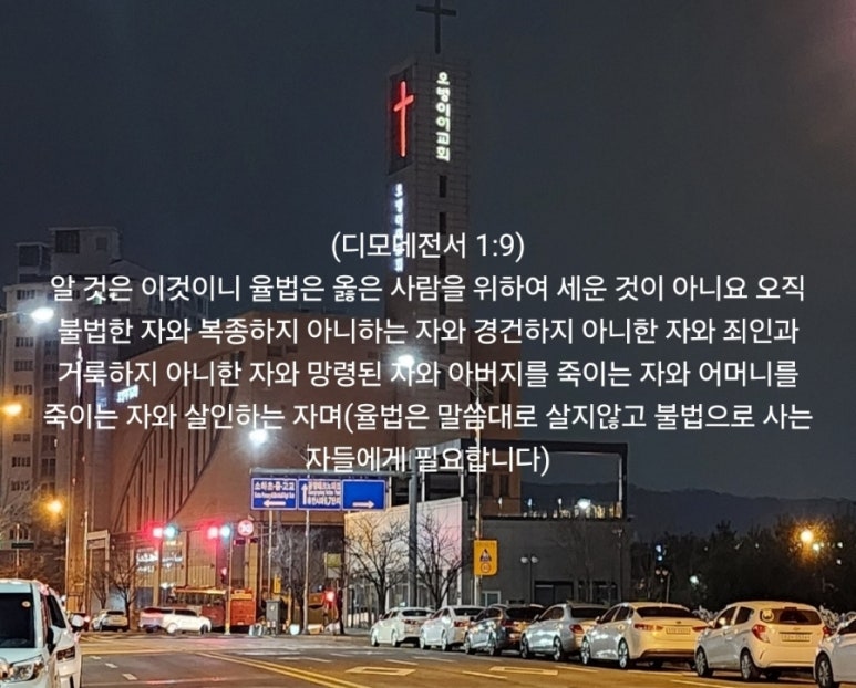 디모데헤어 이미지