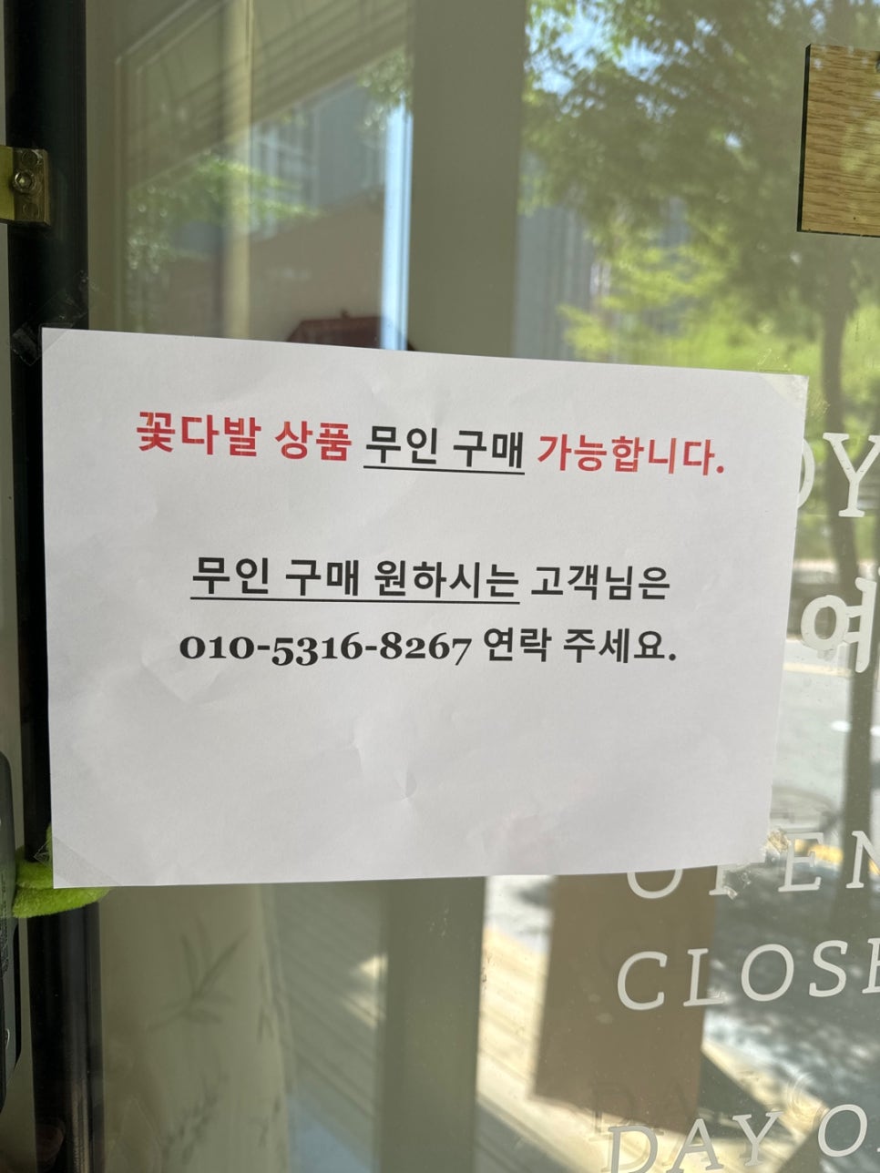 소예플레르 이미지