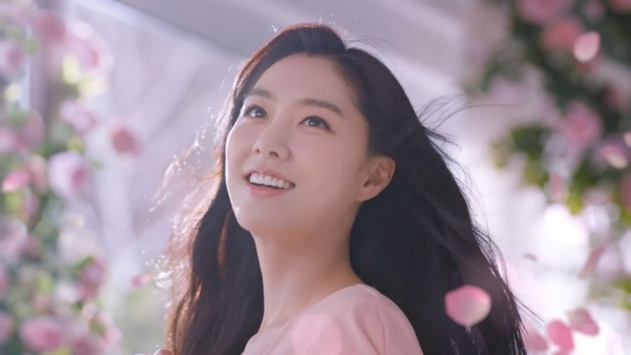 워시테리아 이미지