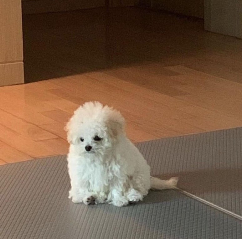 소심 이미지