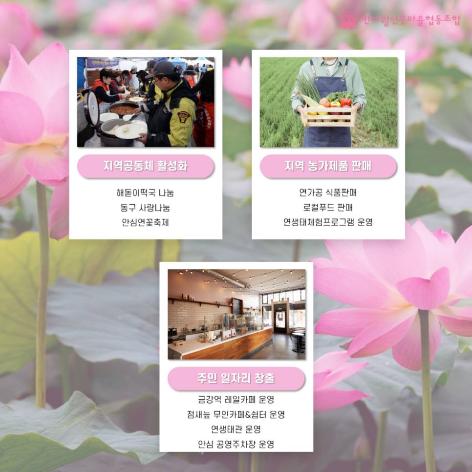 반야월 연꽃마을 협동조합 이미지