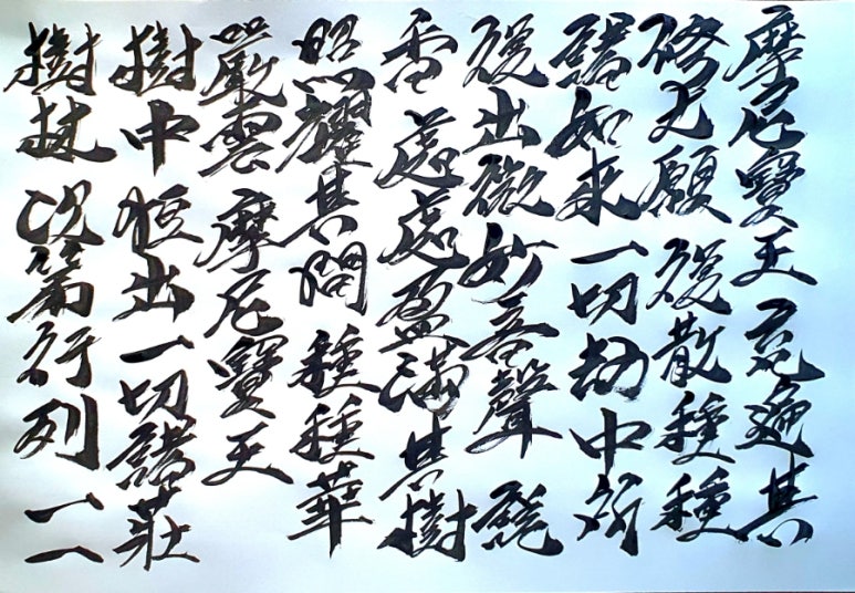 마니보 이미지
