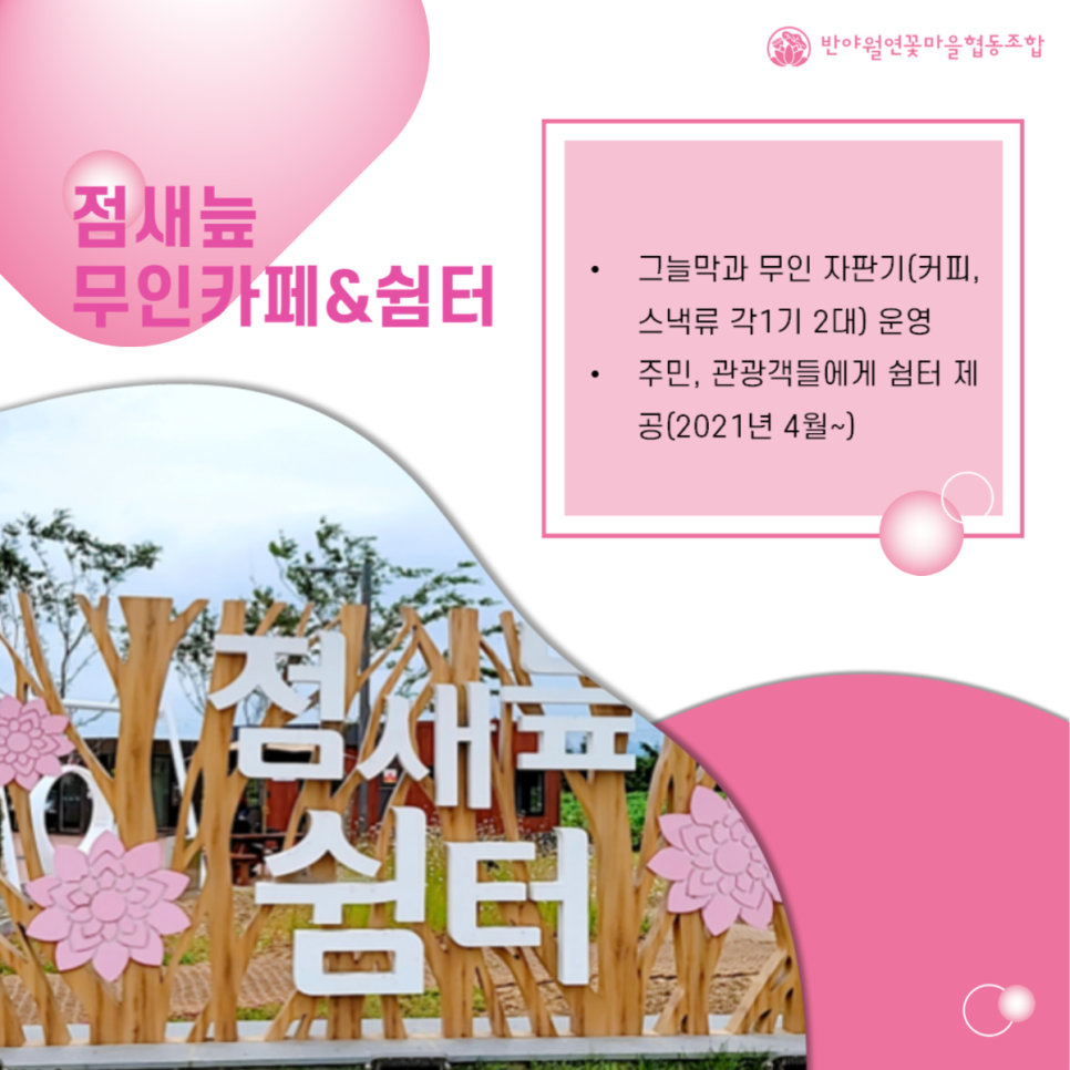 반야월 연꽃마을 협동조합 이미지