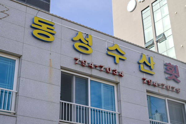 동성이용 이미지
