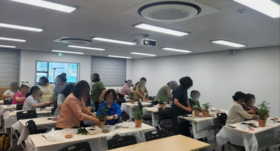 홍콩테라피 이미지