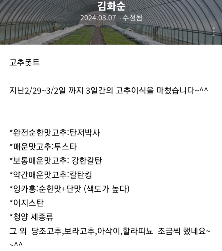 홍고추나라 이미지