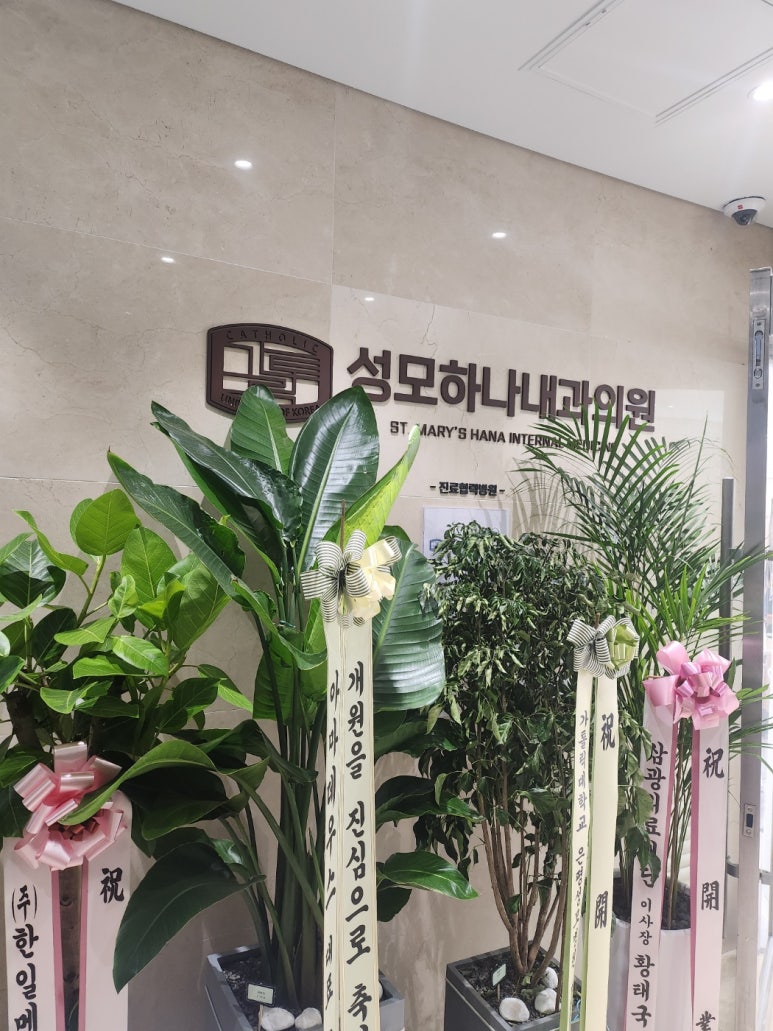 성모하나내과의원 이미지