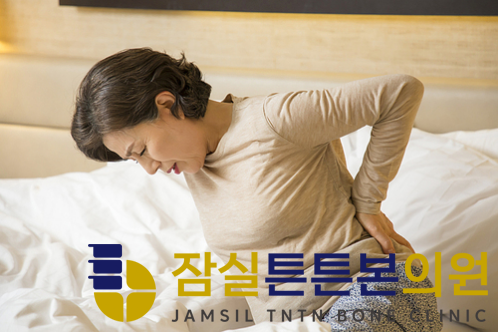 잠실튼튼본의원 이미지