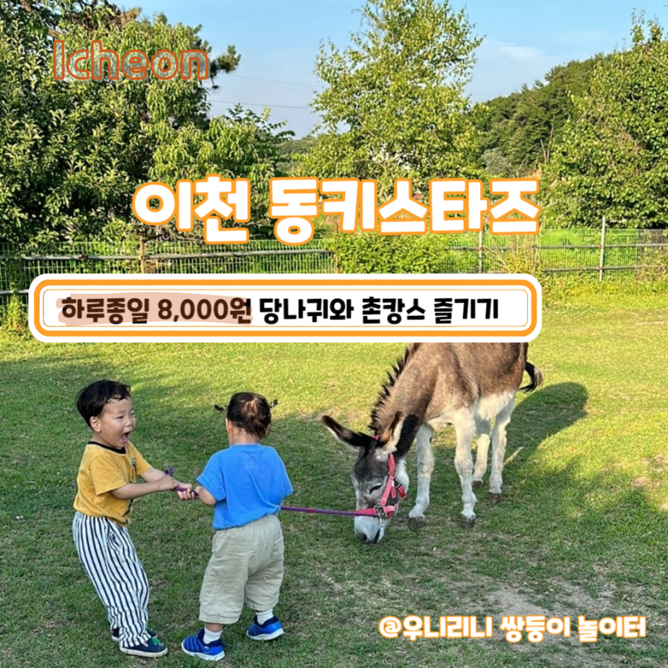 동키투어 이미지