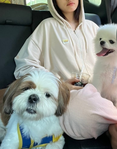 펜션WON 이미지