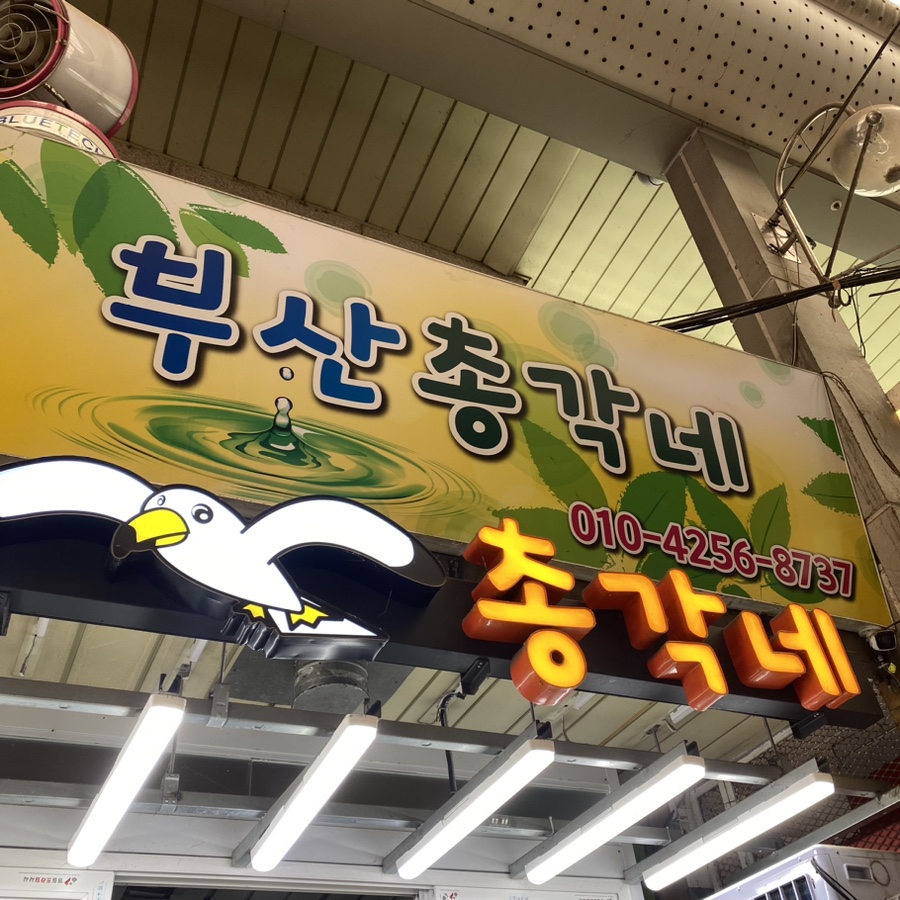 총각갈매기 이미지