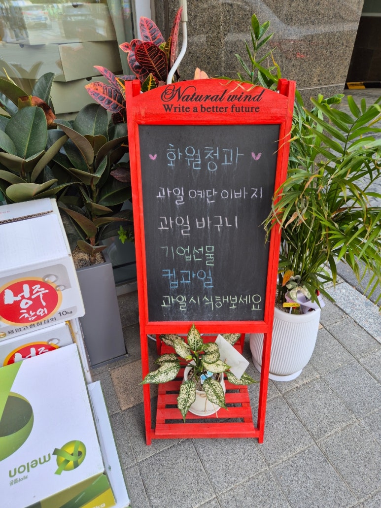 우성청과 이미지