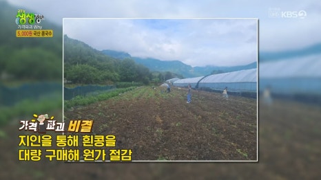 순봉홍두깨손칼국수 이미지
