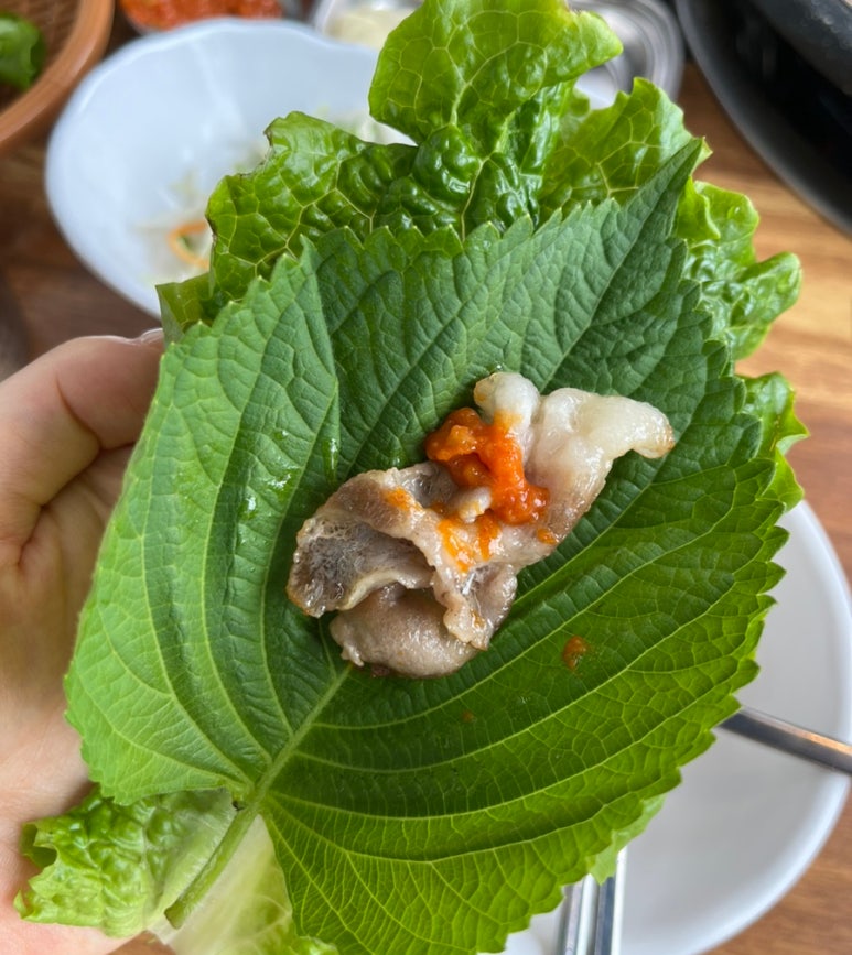 오로지 대패 이미지
