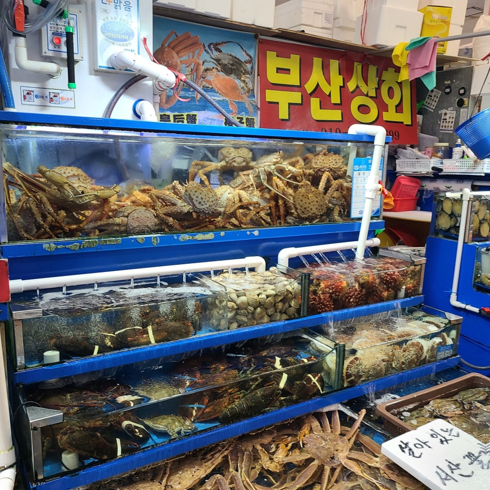 재현상회 이미지
