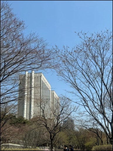 법무법인충주 이미지