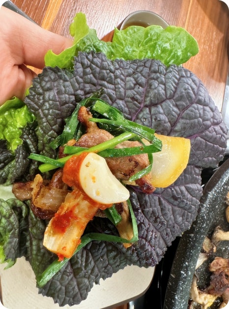 토성오리 이미지