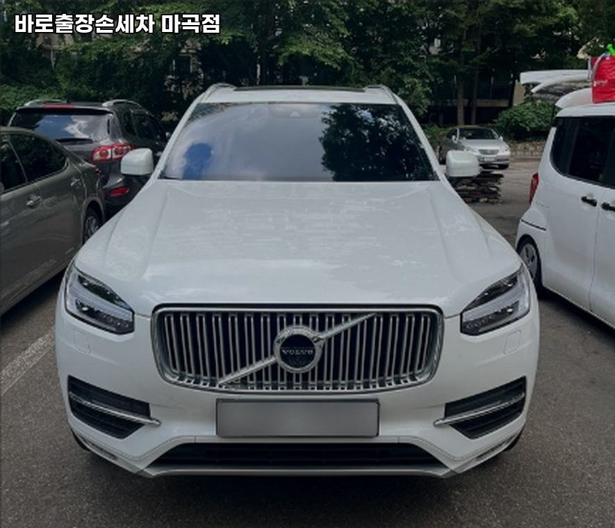 바로출장손세차 이미지