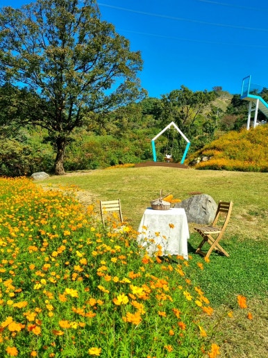 너울숲 이미지