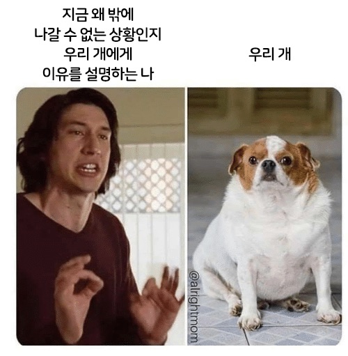피식 이미지