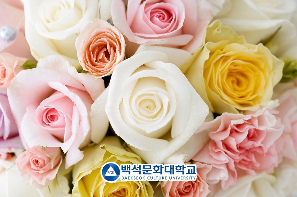더플로리스트 이미지