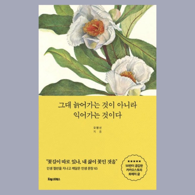 그대의힐링스토리 이미지