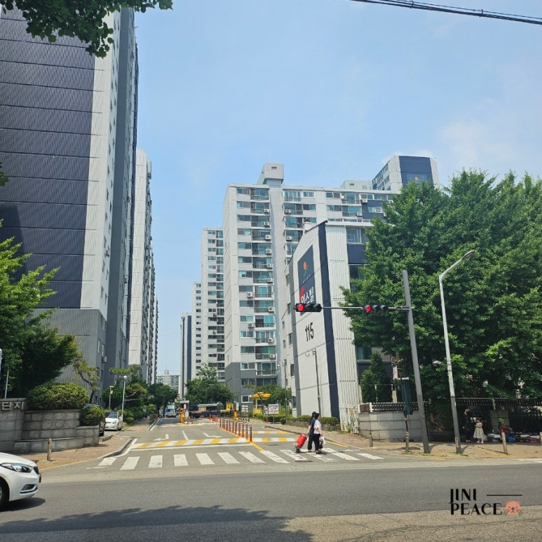 딥띵스 이미지