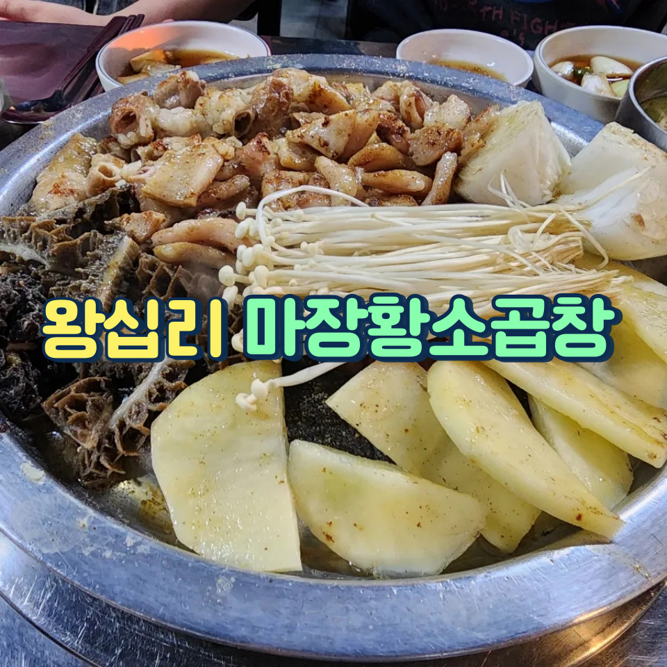 마장황소곱창 이미지