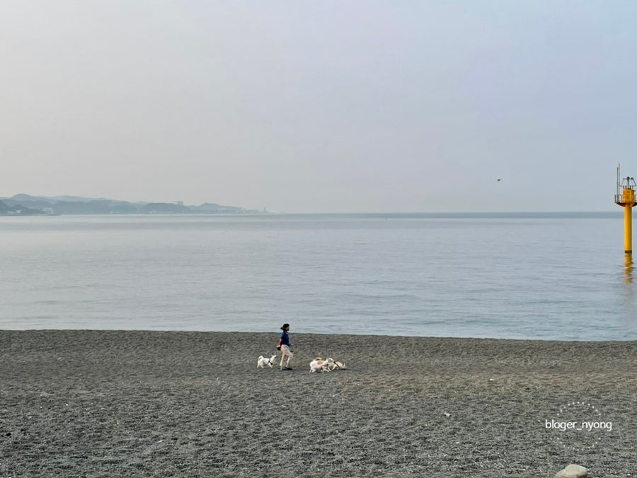 카페 높 이미지