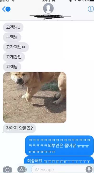 피식 이미지