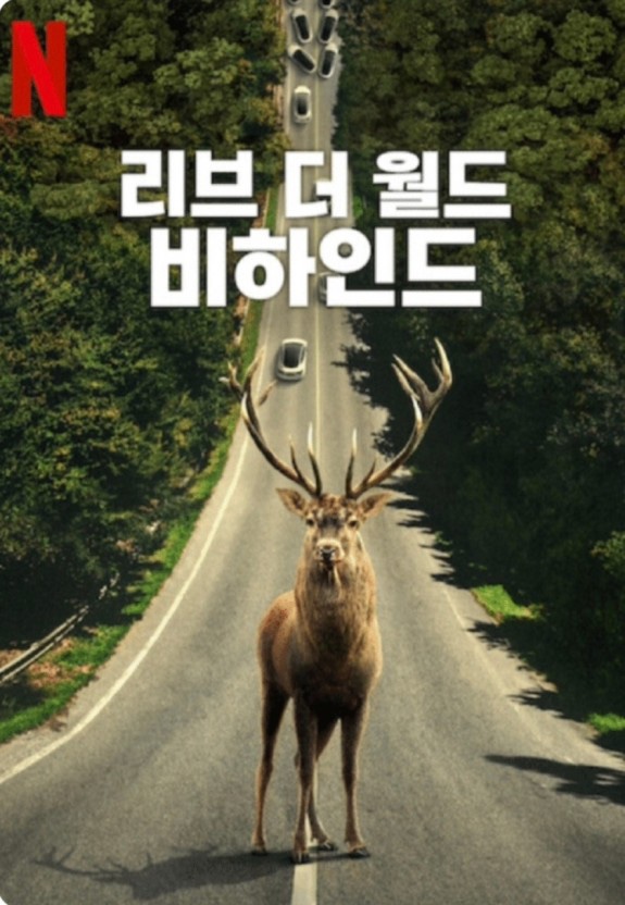 폰월드 이미지