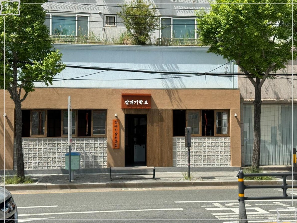 갈매기 학교 이미지