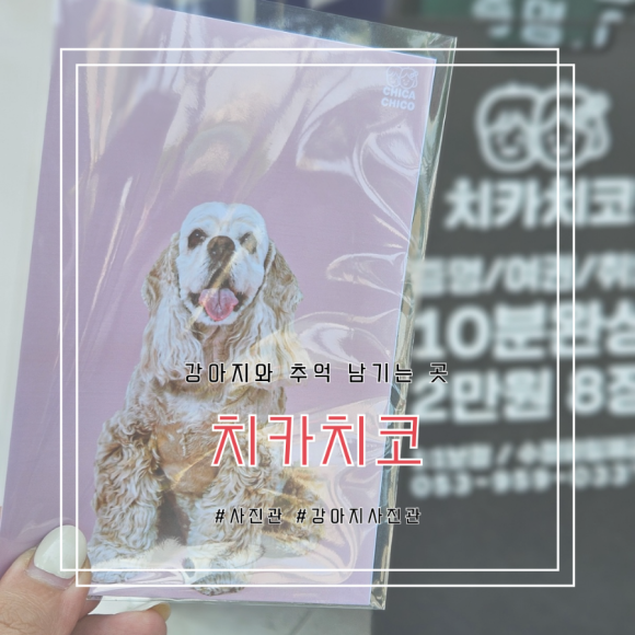 치카치코 이미지