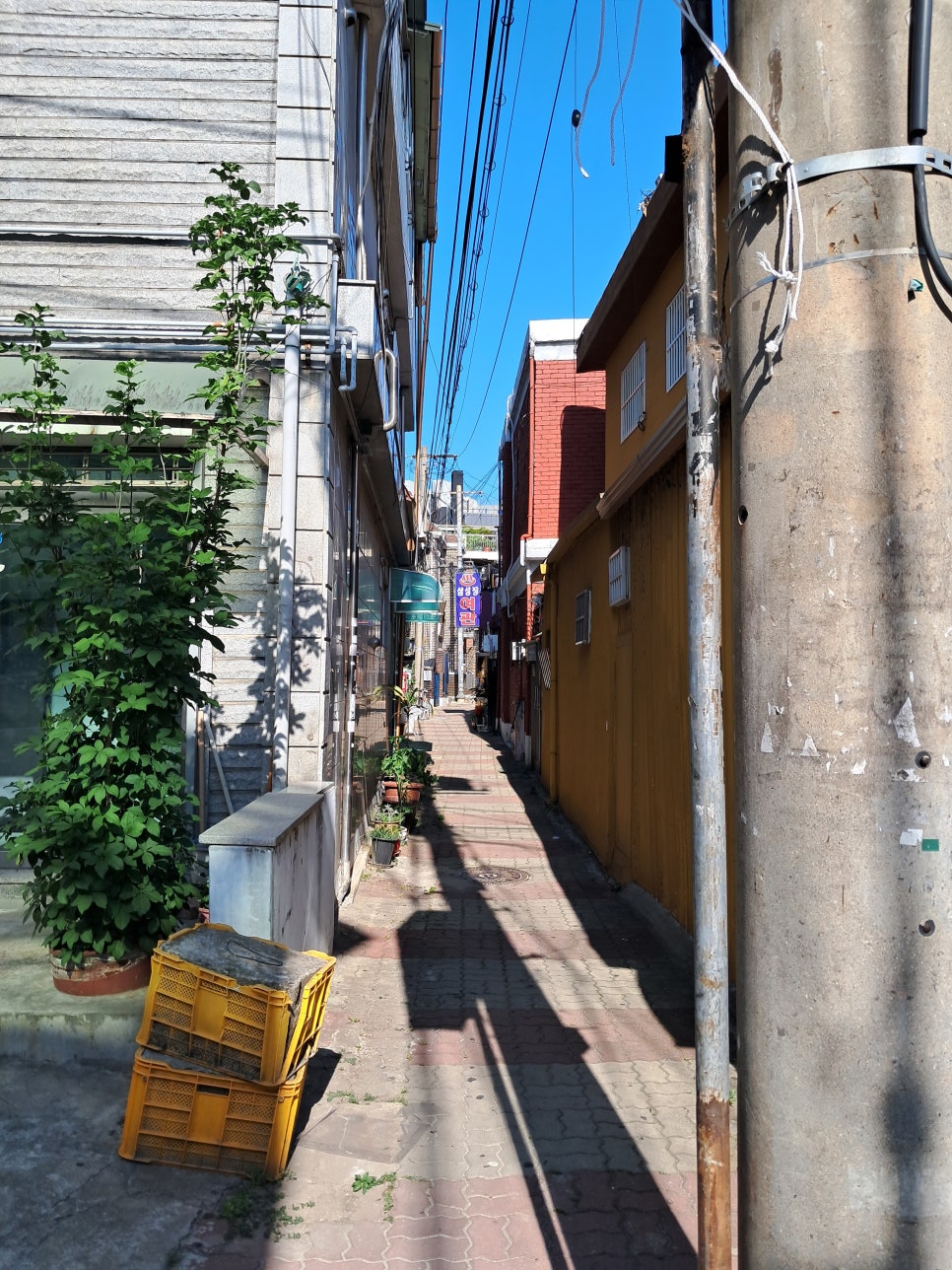 삼성장여관 이미지