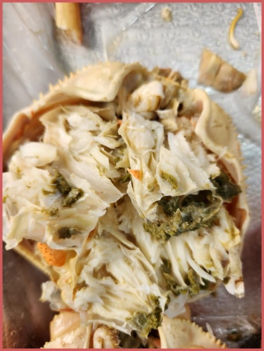 바른수산 이미지