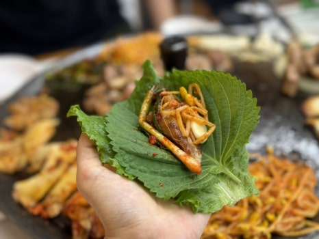 싹쓰리솥뚜껑 김치삼겹살 민락1지구점 이미지