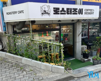 로스터조이 이미지