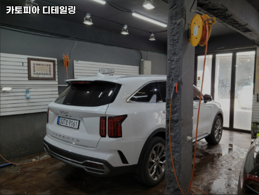 카토피아 이미지