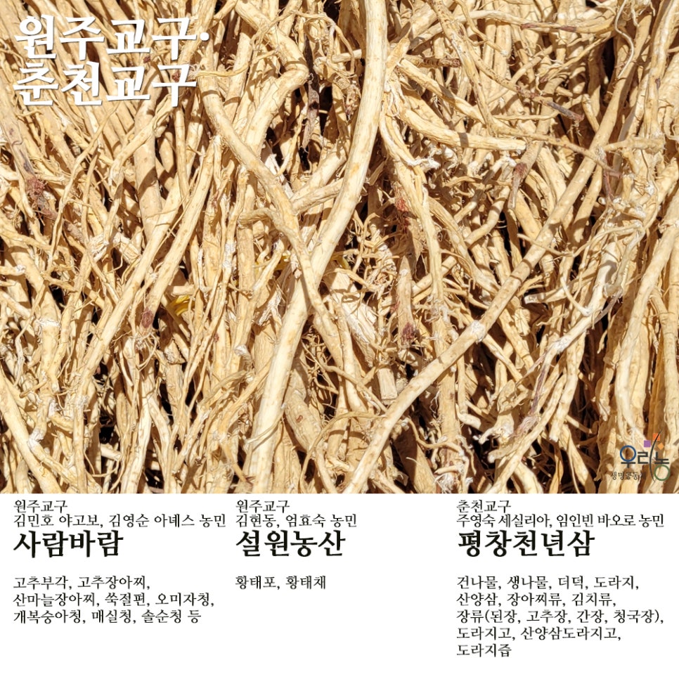 평창천년삼 이미지