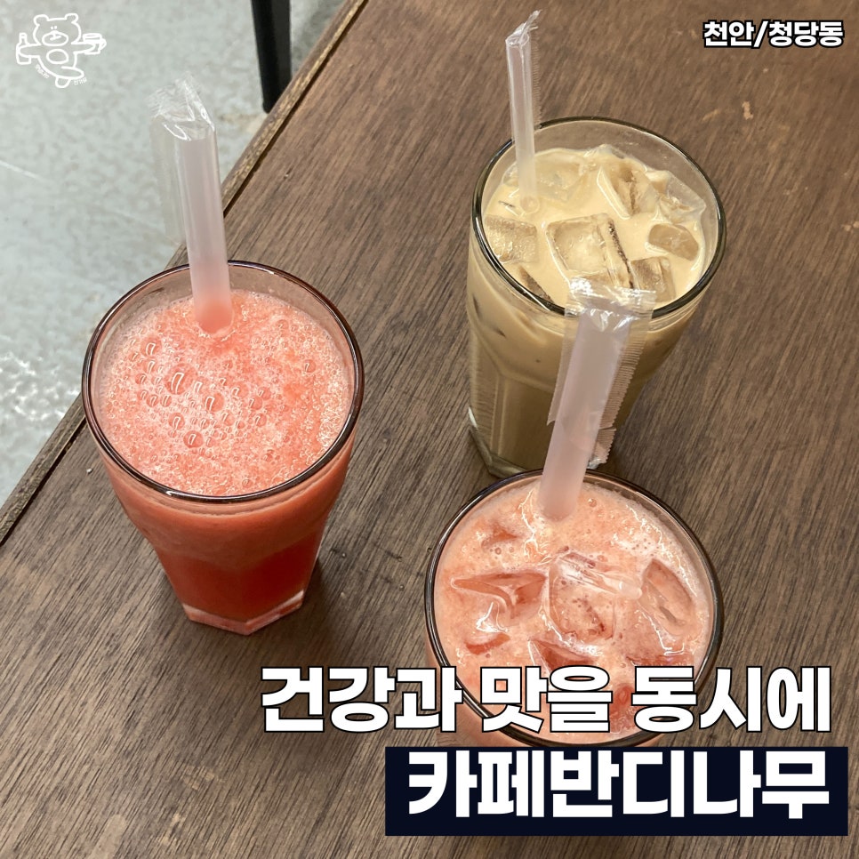 카페반디나무 이미지