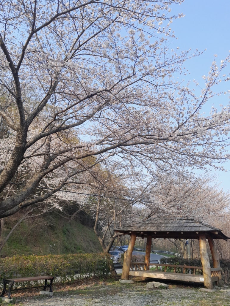 장흥한우촌 이미지